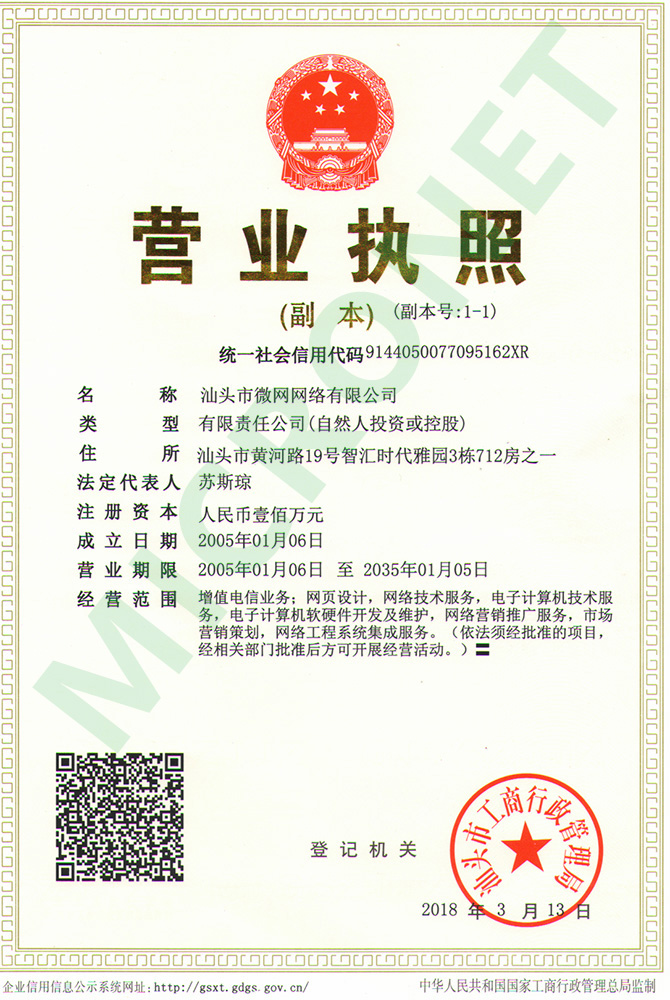 企业营业执照 - micronet-st.jpg